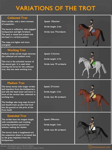 Horses Guide .